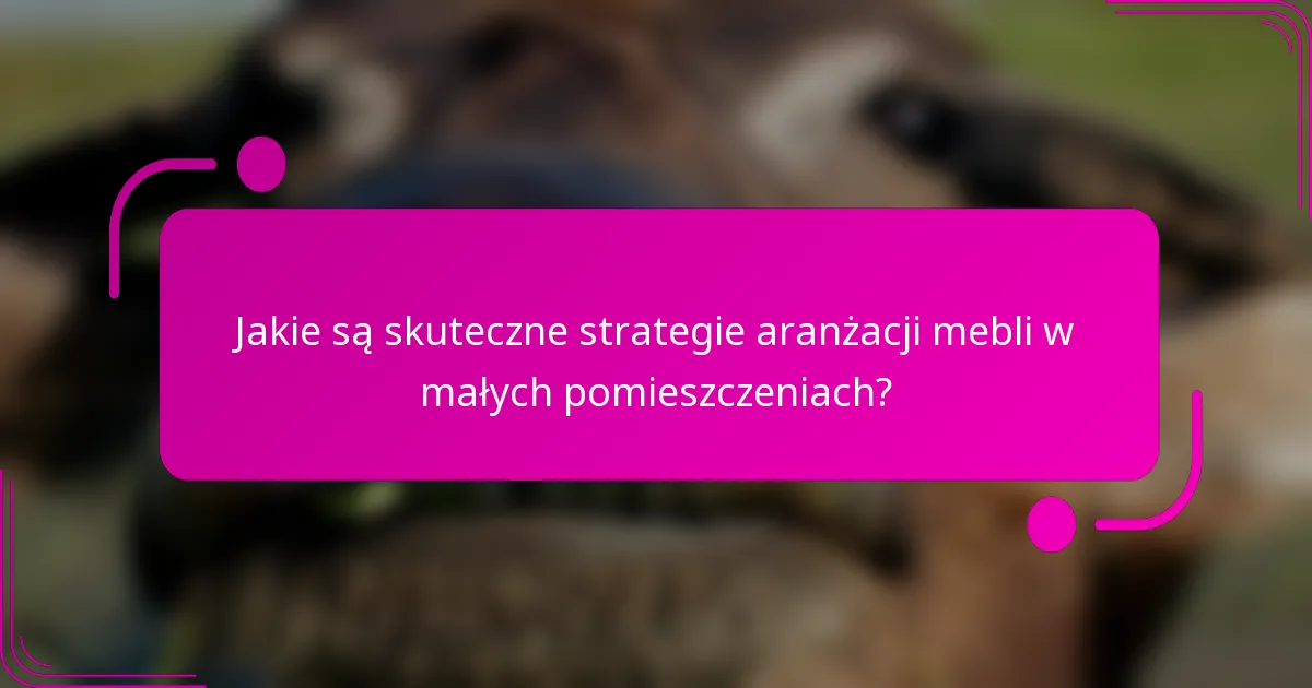 Jakie są skuteczne strategie aranżacji mebli w małych pomieszczeniach?